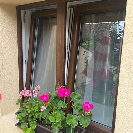 Kerti Franciaagyas Apartman Vác المظهر الخارجي الصورة