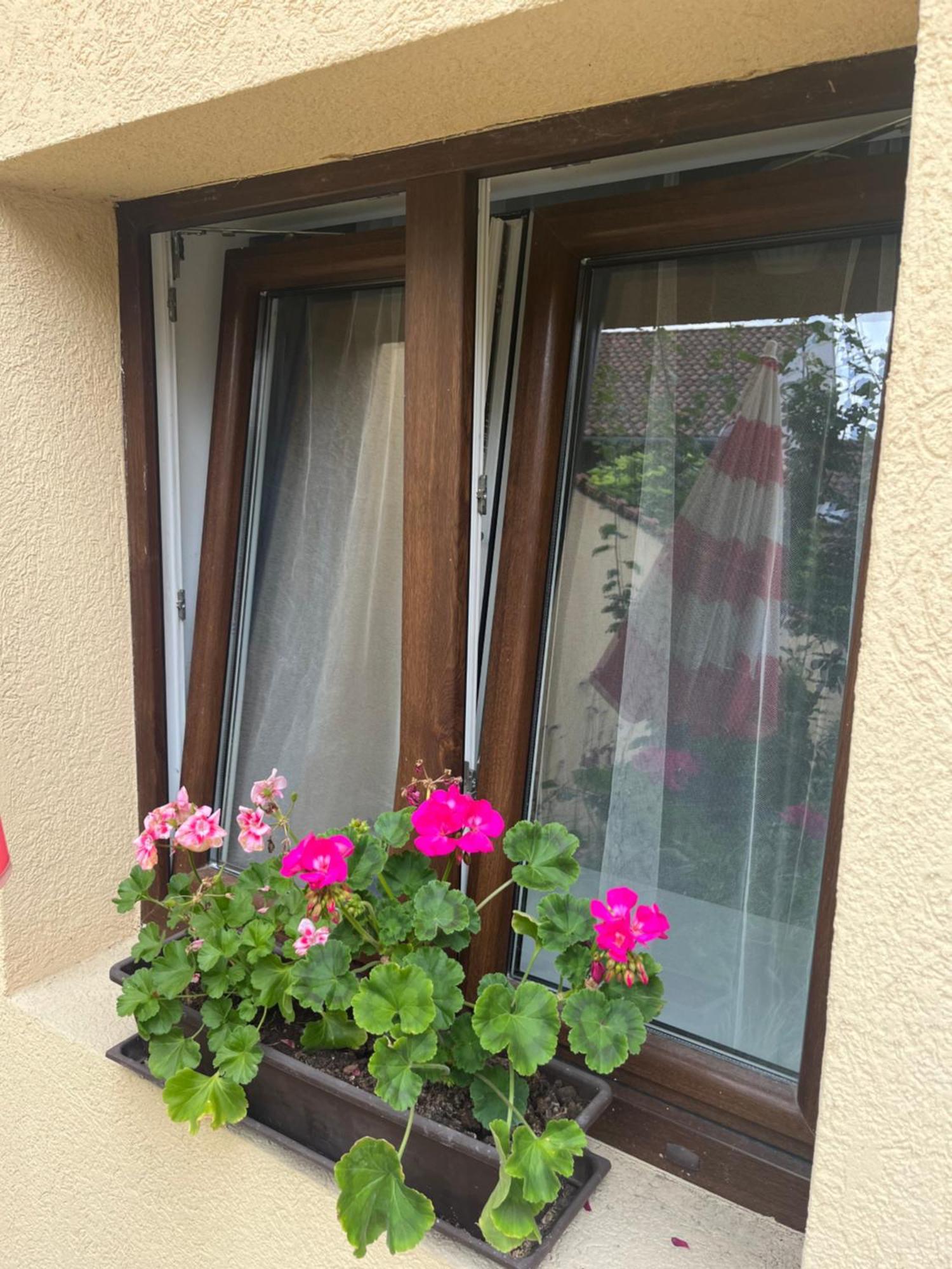 Kerti Franciaagyas Apartman Vác المظهر الخارجي الصورة